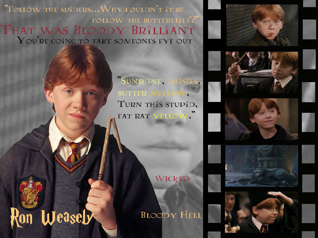 ron11b.jpg