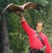 StevenSegal.jpg